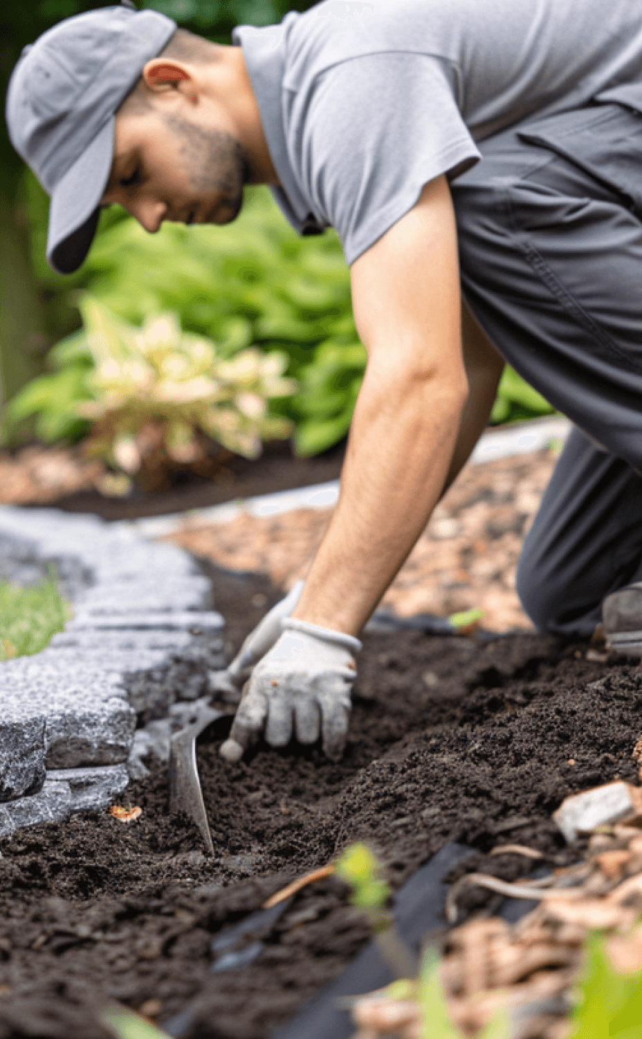 Wolfcrest Landscaping contact